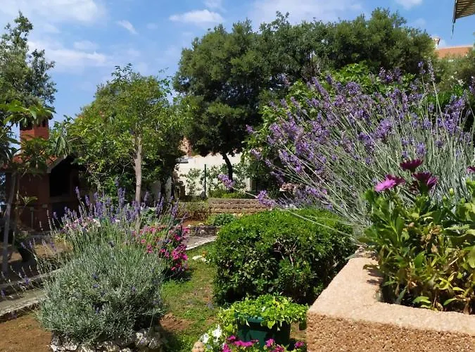 Palatisa Lägenhet *