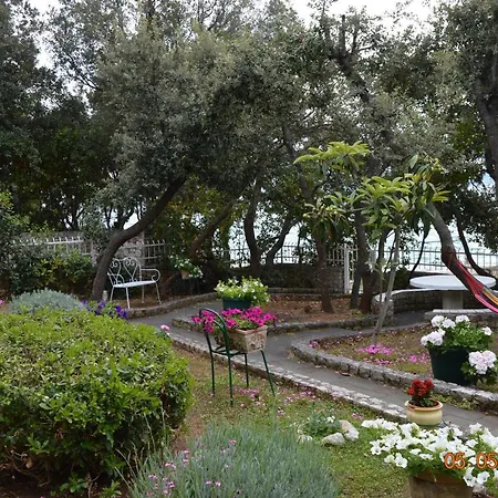 Palatisa Apartment *