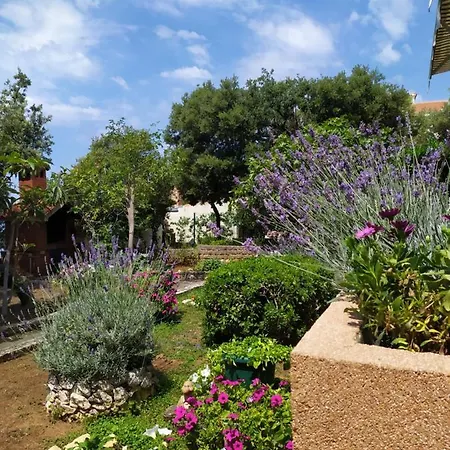 Palatisa Apartment *
