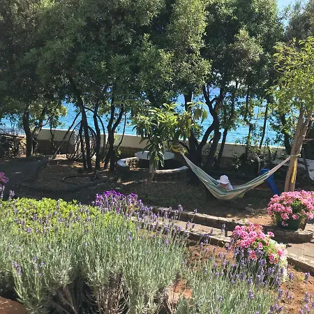 Palatisa Apartment